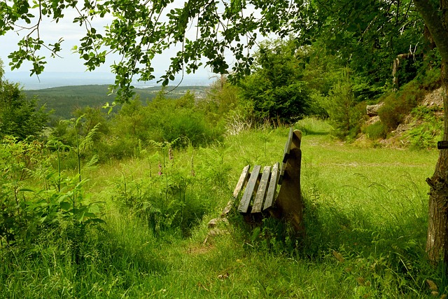 准的传球和 准的传球和
