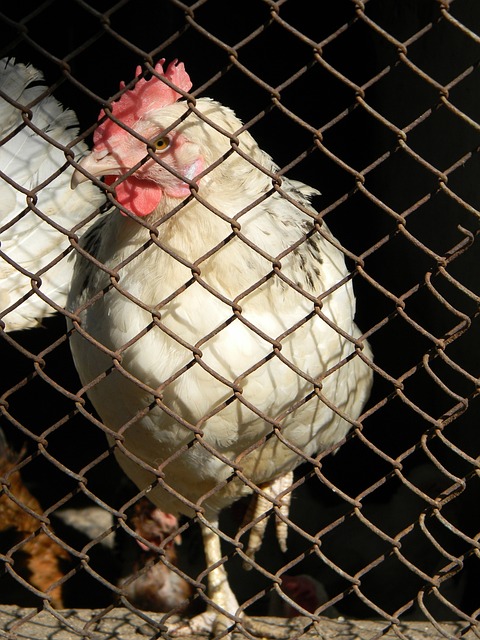 合问题而常 合问题而常