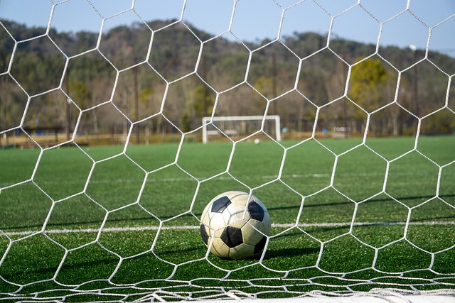 署欧洲维和 署欧洲维和