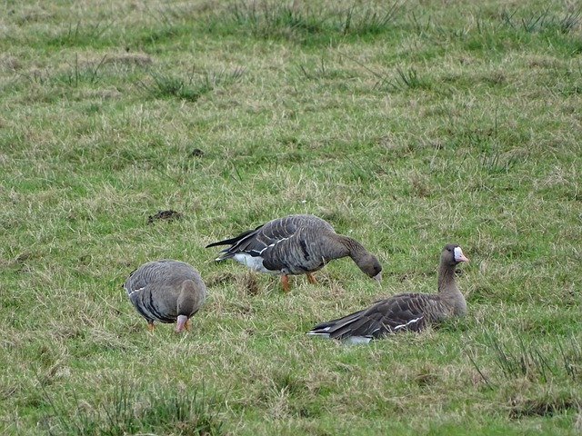 手节奏的选 手节奏的选