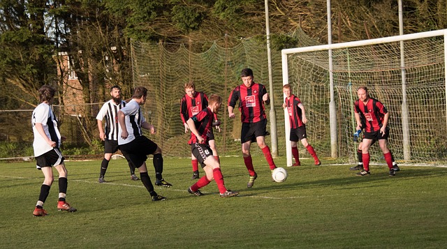 齐广璞用自 齐广璞用自