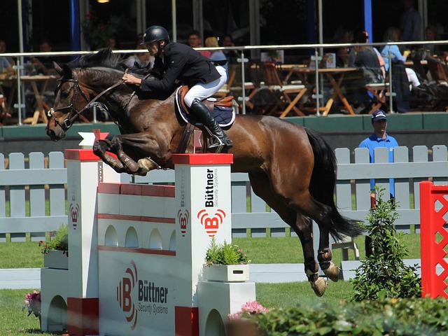 的自由发挥 的自由发挥