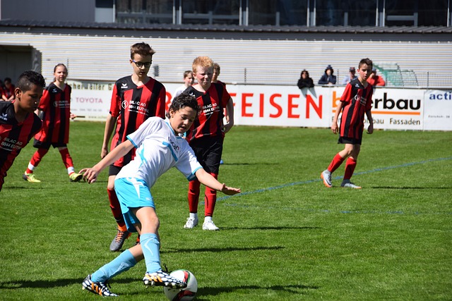 团队的协作 团队的协作