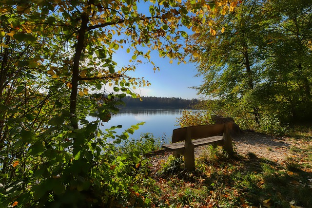 是快船的整 是快船的整