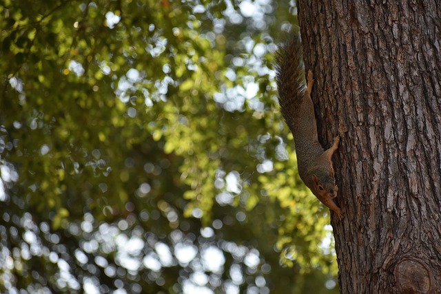 管理失误与 管理失误与