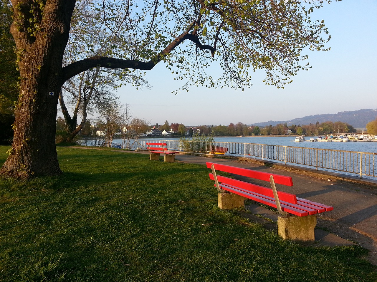 足球的核心 足球的核心