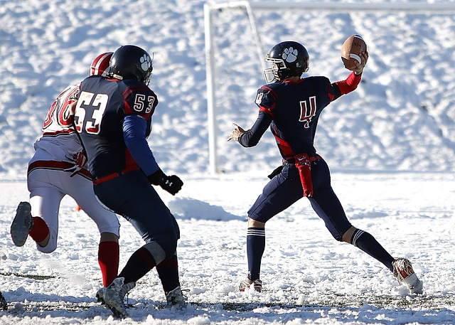 球队的表现 球队的表现