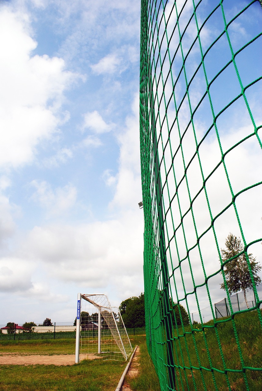 的过程中 的过程中